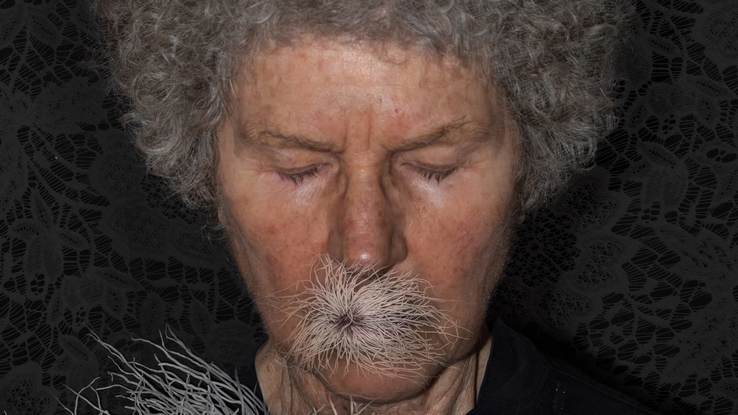 Minnen – Fotografier som håller minnen vid liv