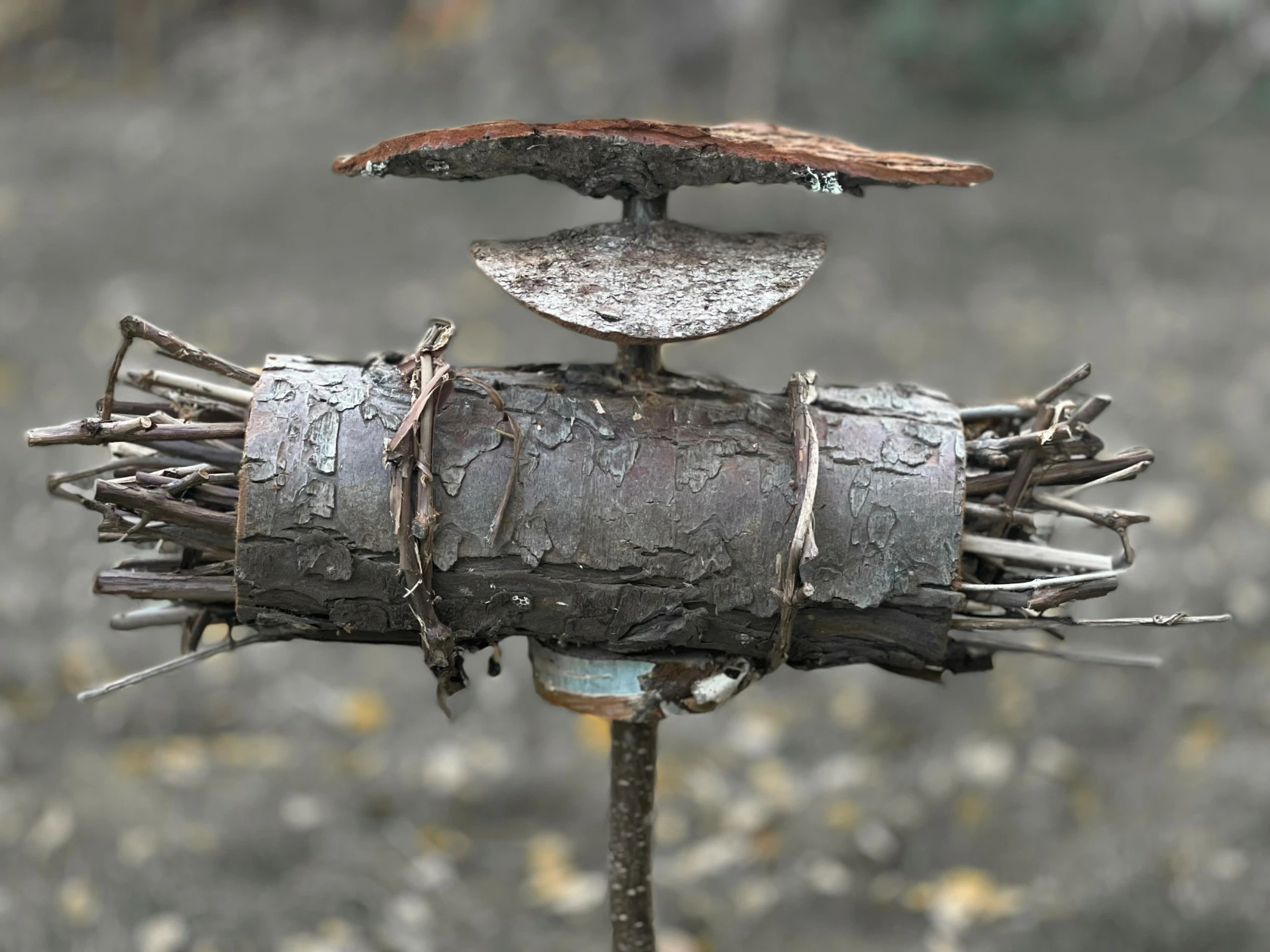 Förfina och förmultna