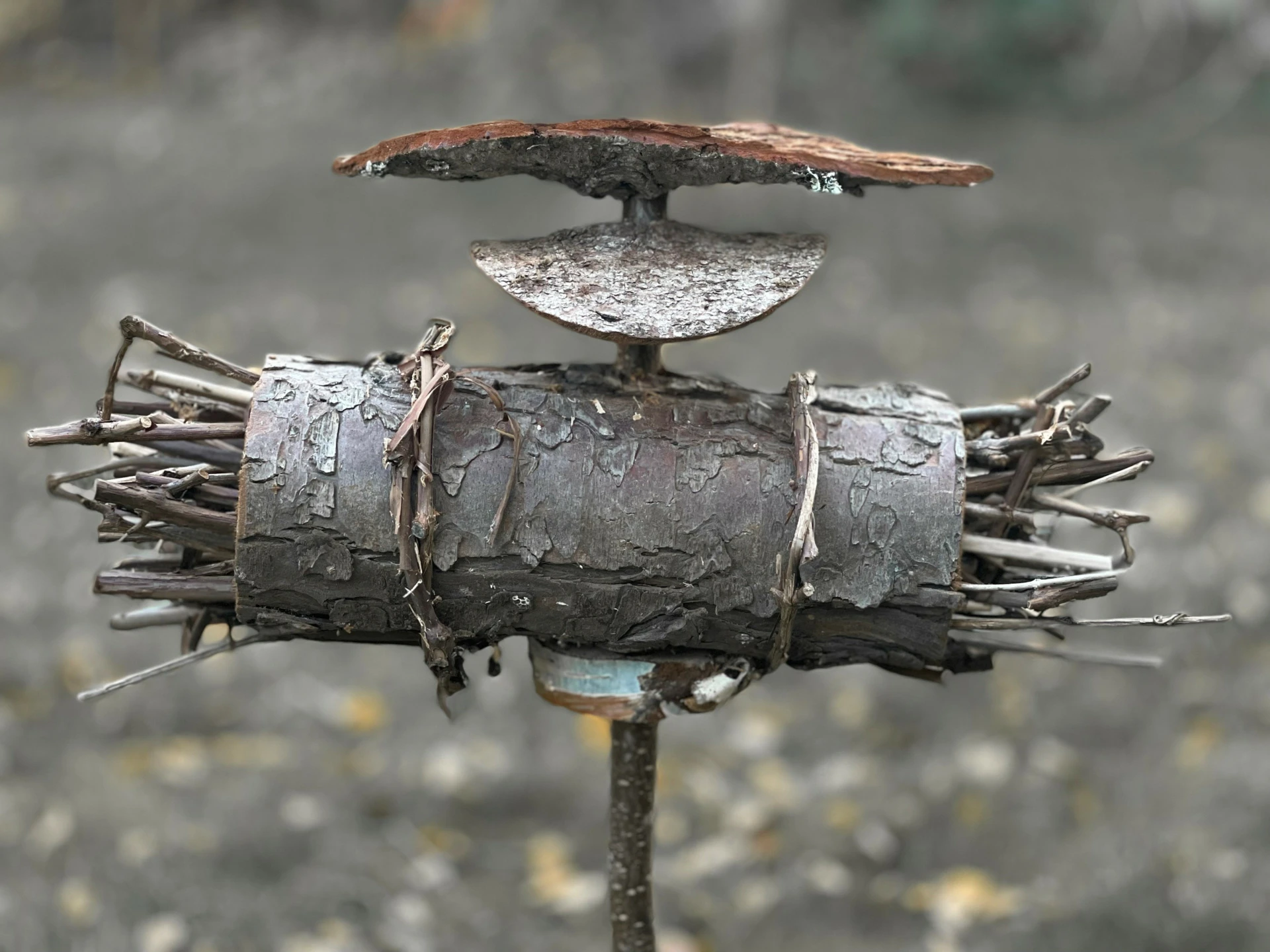 Förfina och förmultna