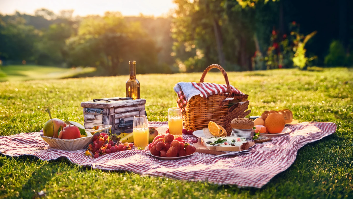 picknick