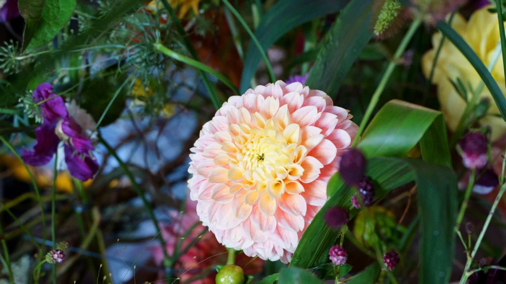 flora