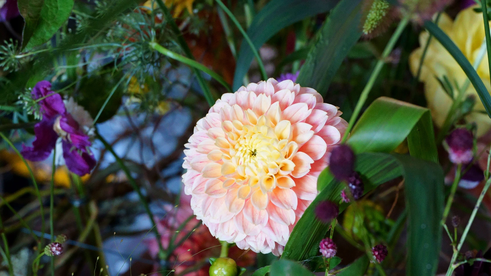 flora