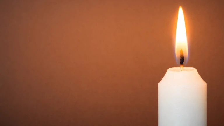 Internationella Brottsofferdagen