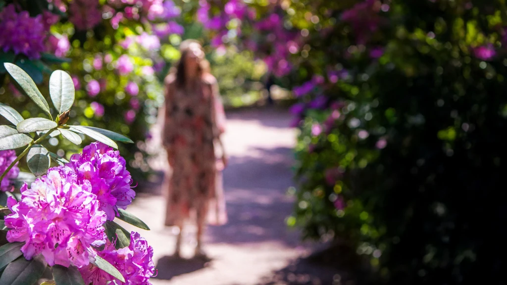 Sofiero säsongsöppning