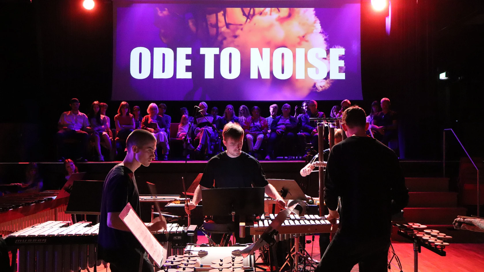 Ode to Noise