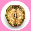 Ett halvt skrumpet äpple