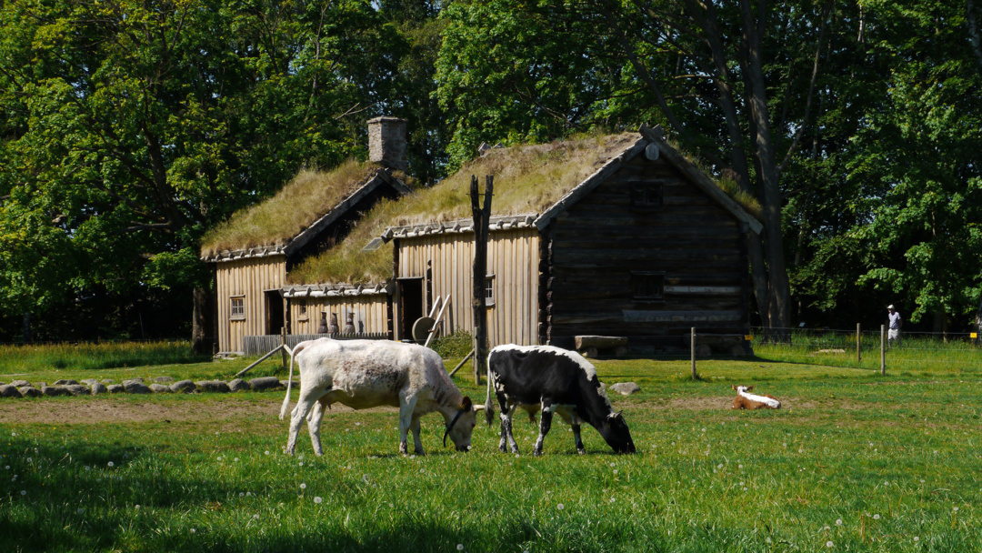 Djur och hus på Fredriksdal