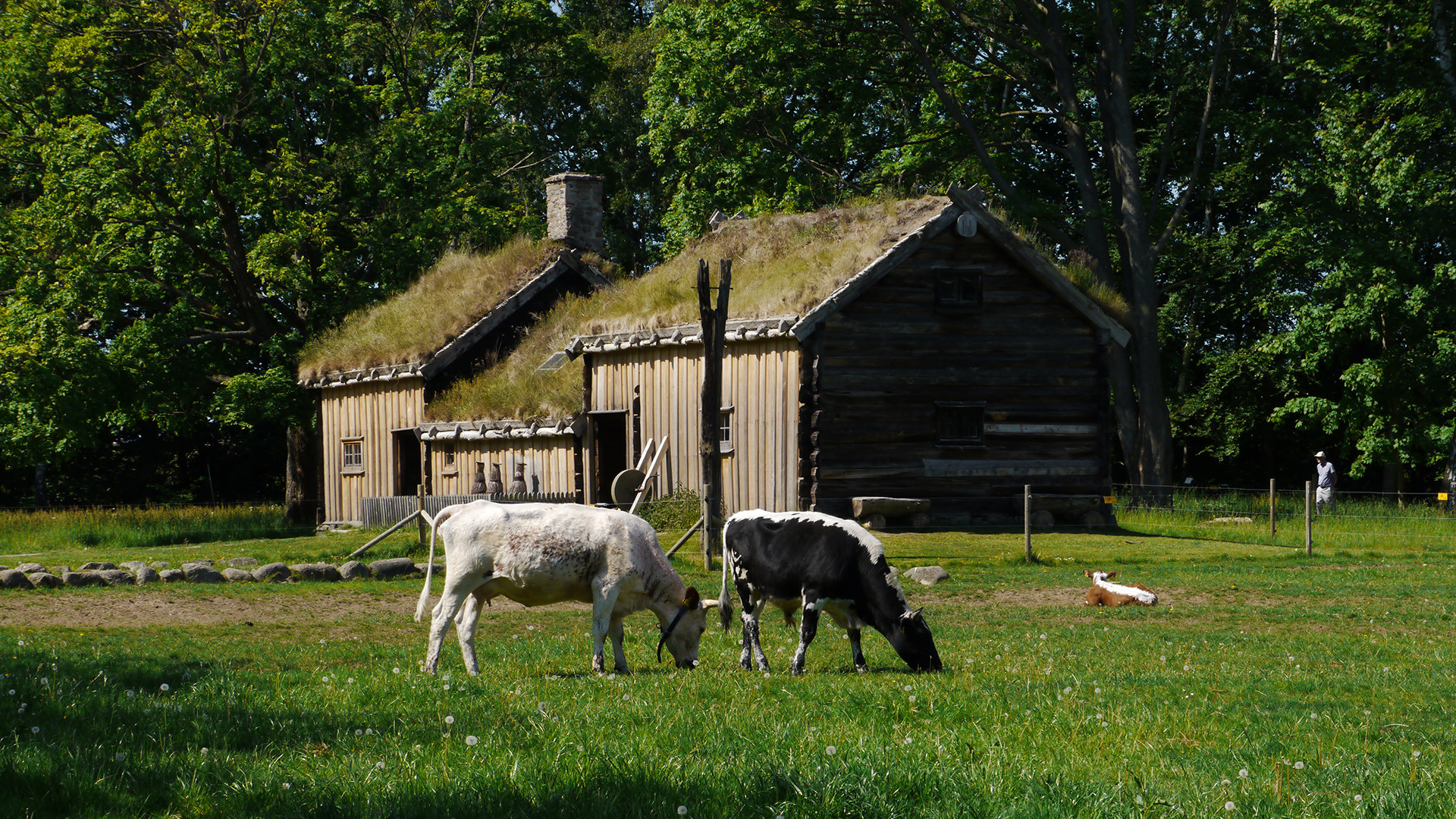 Djur och hus på Fredriksdal