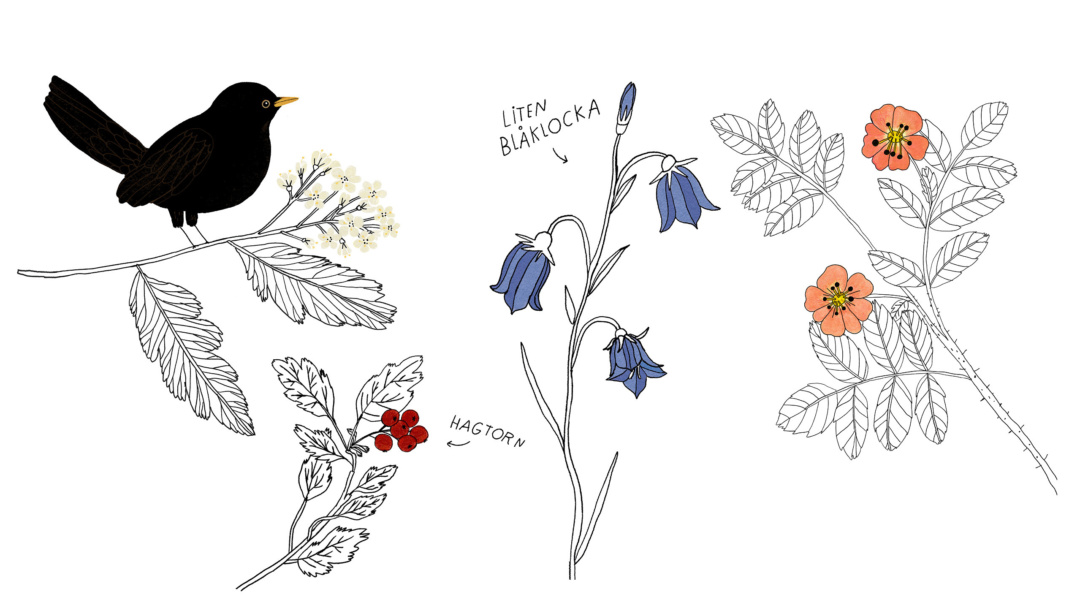 illustration med blommor, blad och en fågel