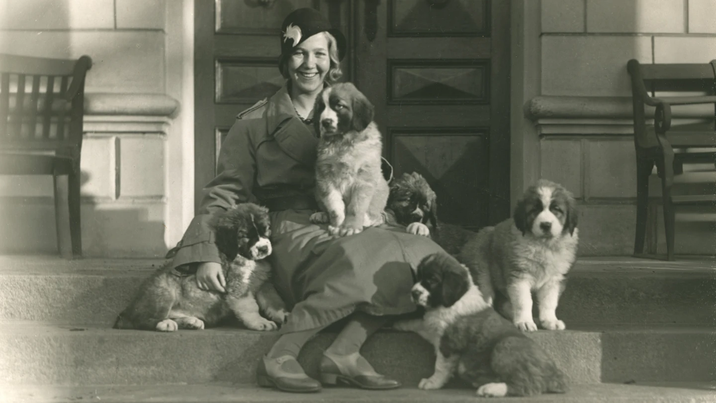 Älskade husdjur, porträtt