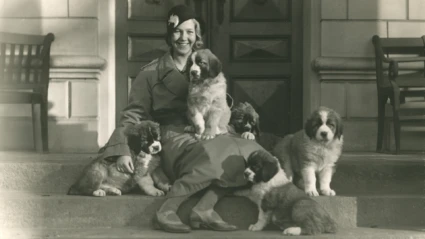 Älskade husdjur, porträtt