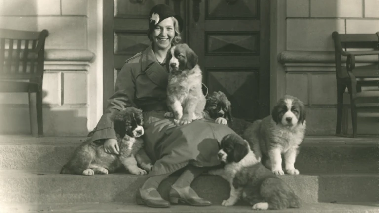 Älskade husdjur, porträtt