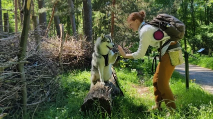Hundspåret
