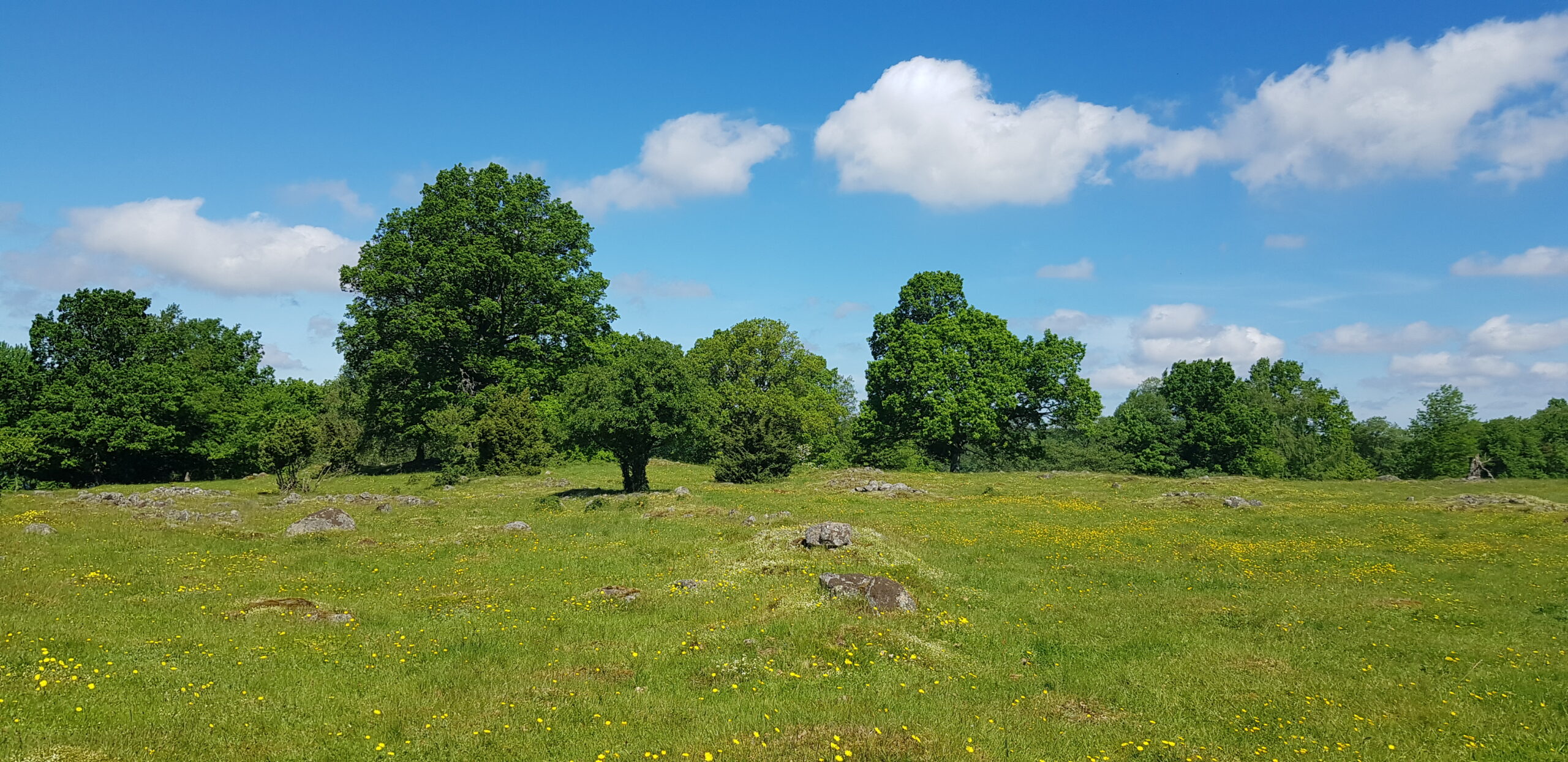 Lärkesholm i Örkelljunga. foto: Patrik Carlsson