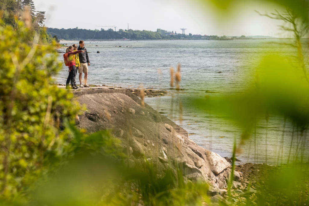 Tre personer blickar ut över havet
