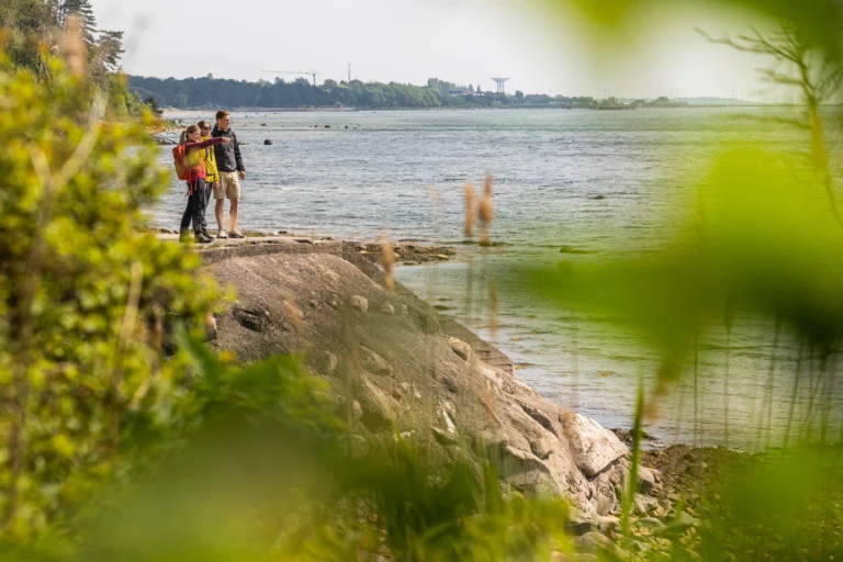 Tre personer blickar ut över havet