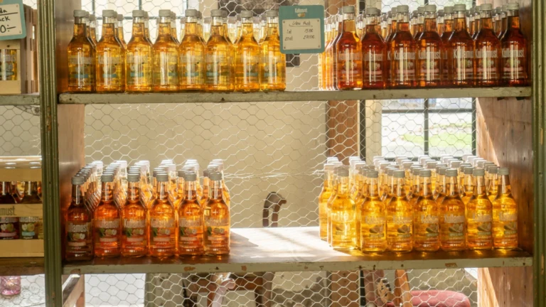 Flaskor med äpplemust