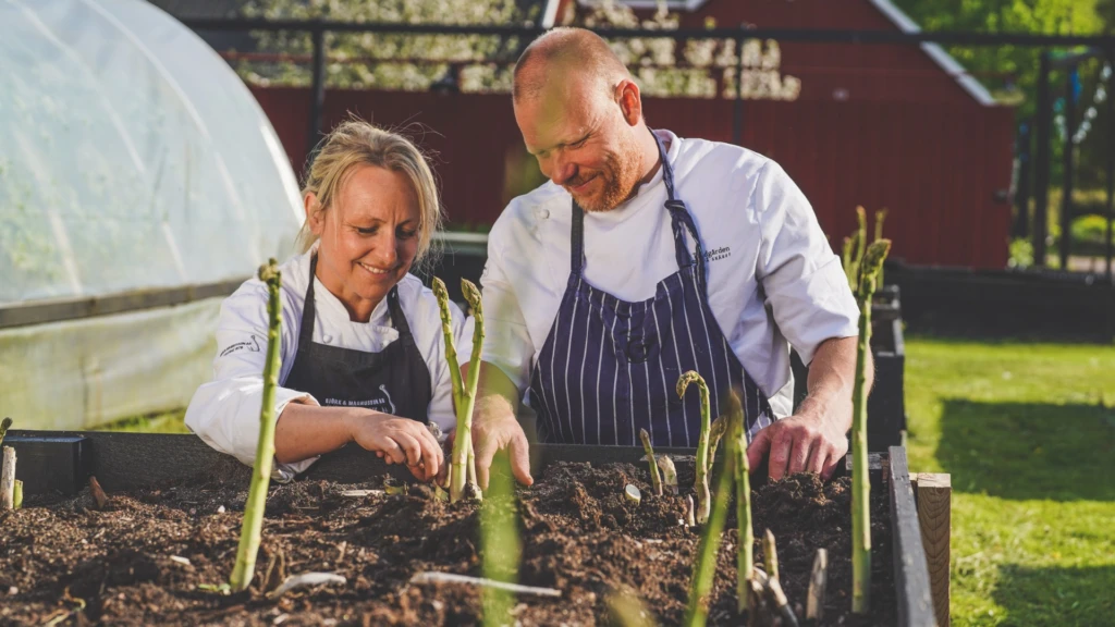 Två personer planterar grönsaker