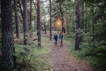 Två personer vandrar i en skog