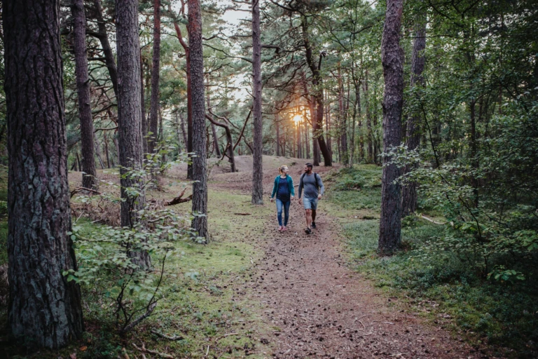 Två personer vandrar i en skog