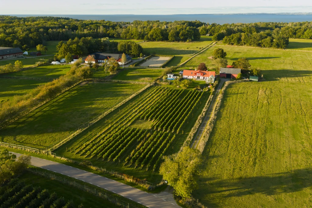Drönarbild över gården och vinfälten