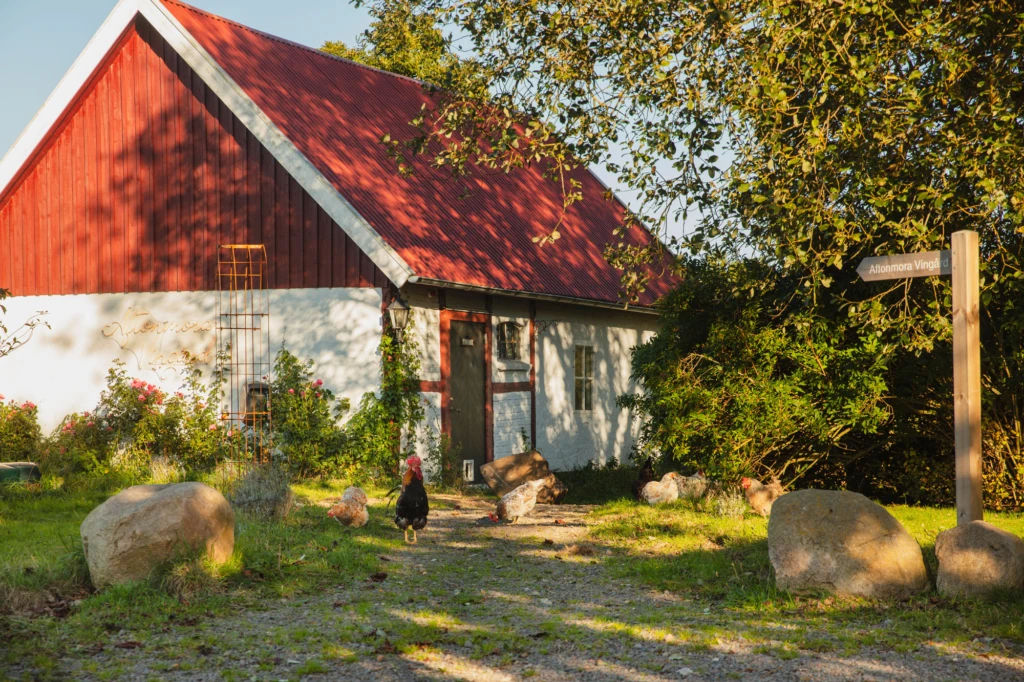 rött pittoreskt hus på Aftonmora vingård
