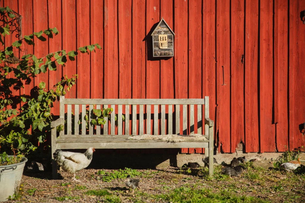 en träbänk mot en röd byggnad i trä. Lantlig känsla