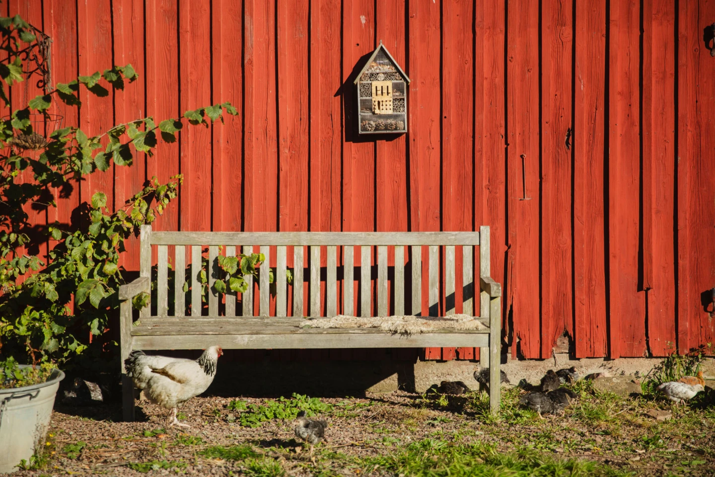 en träbänk mot en röd byggnad i trä. Lantlig känsla