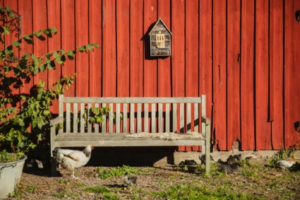 en träbänk mot en röd byggnad i trä. Lantlig känsla
