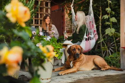 kvinnor i hängfåtöljer på en veranda på Aplagården