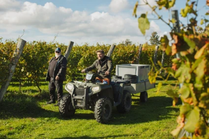 fyrhjulling kör i vinfälten. Arilds vingård