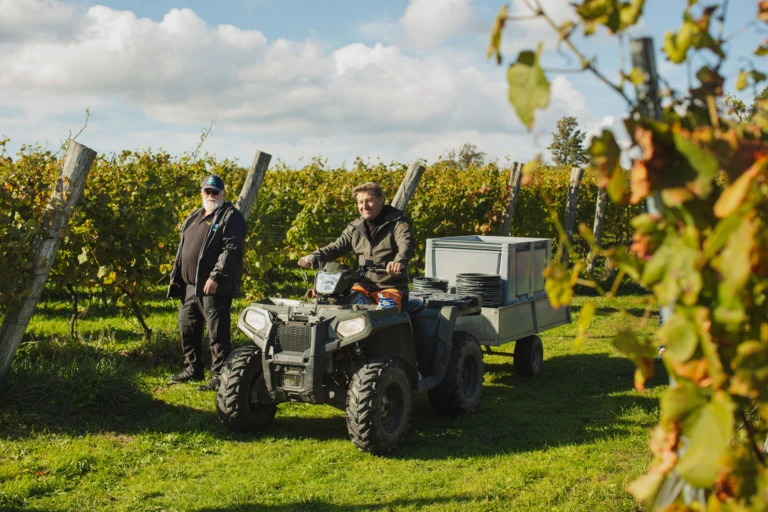 fyrhjulling kör i vinfälten. Arilds vingård