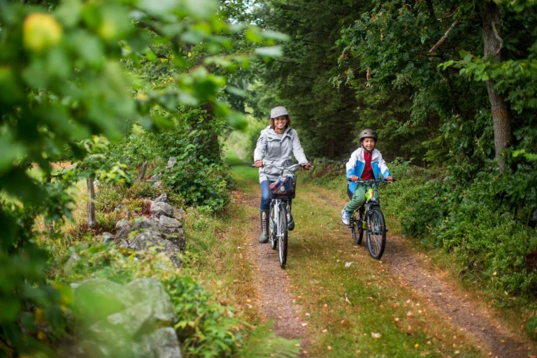 barn och vuxen cyklar på en skogsväg