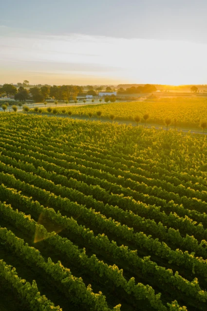 Drönarbild Lottenlund Estate