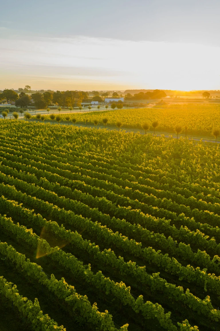 Drönarbild Lottenlund Estate