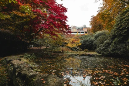 Sofiero slott i höstskrud