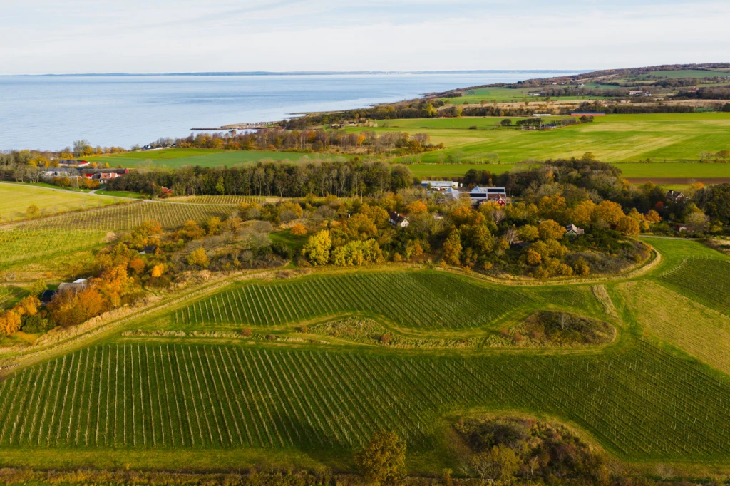 drönarbild Thora vingård