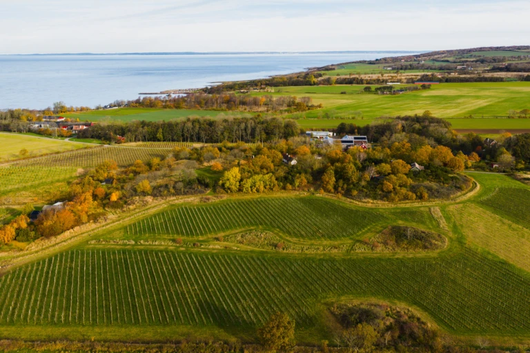 drönarbild Thora vingård