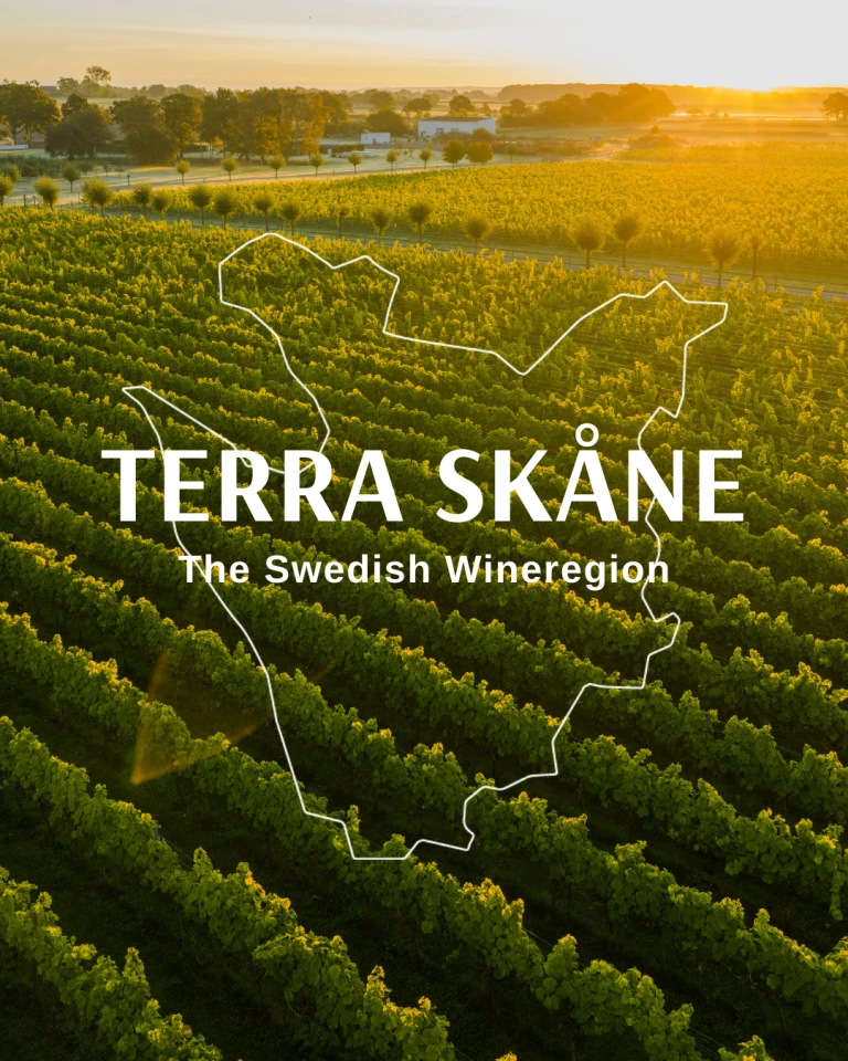 Vinfält med texten Terra Skåne skrivet på. Konturen för karta över området Terra Skåne.