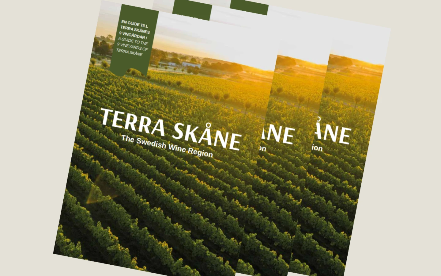Bild på en broschyr om Terra Skåne